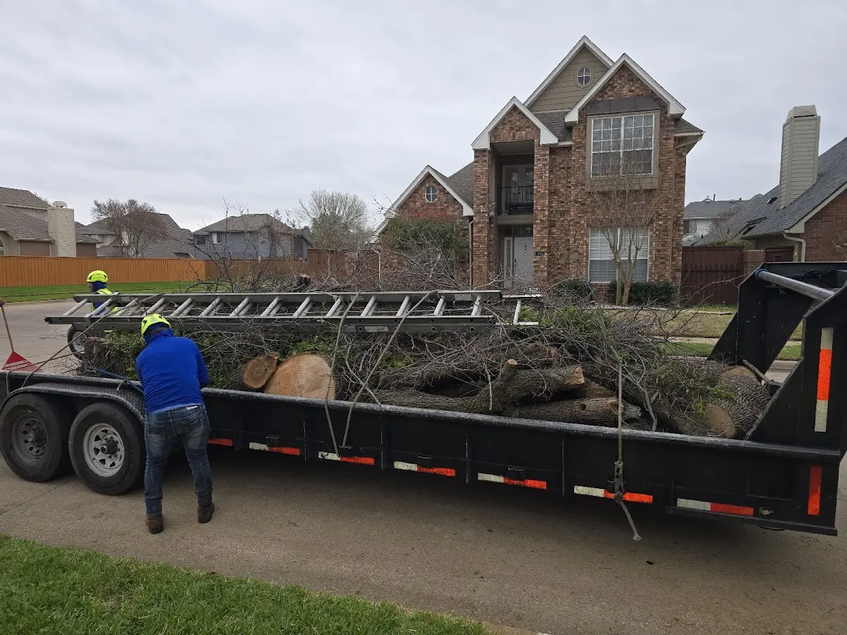Expert Lot Clearing with proper safety equipment in Grove City